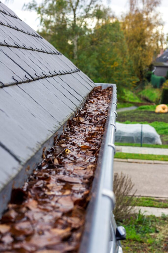 Dachrinnenreinigung Weil der Stadt – ECO Dachrinnen